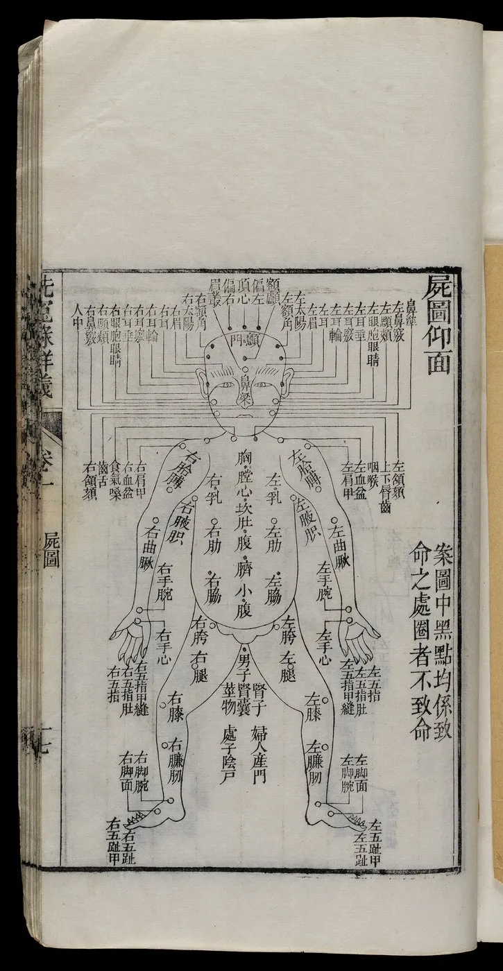 Diagramme du corps humain, planche d’un manuel de médecine légale chinoise du XIXe siècle